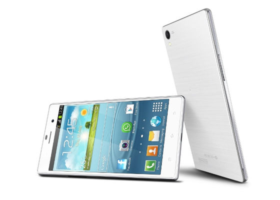 WZ2 5 インチ スクリーンの Smartphones、Smartphone 5 インチの表示 MT6592 1280x720p 3g Wifi アンドロイド